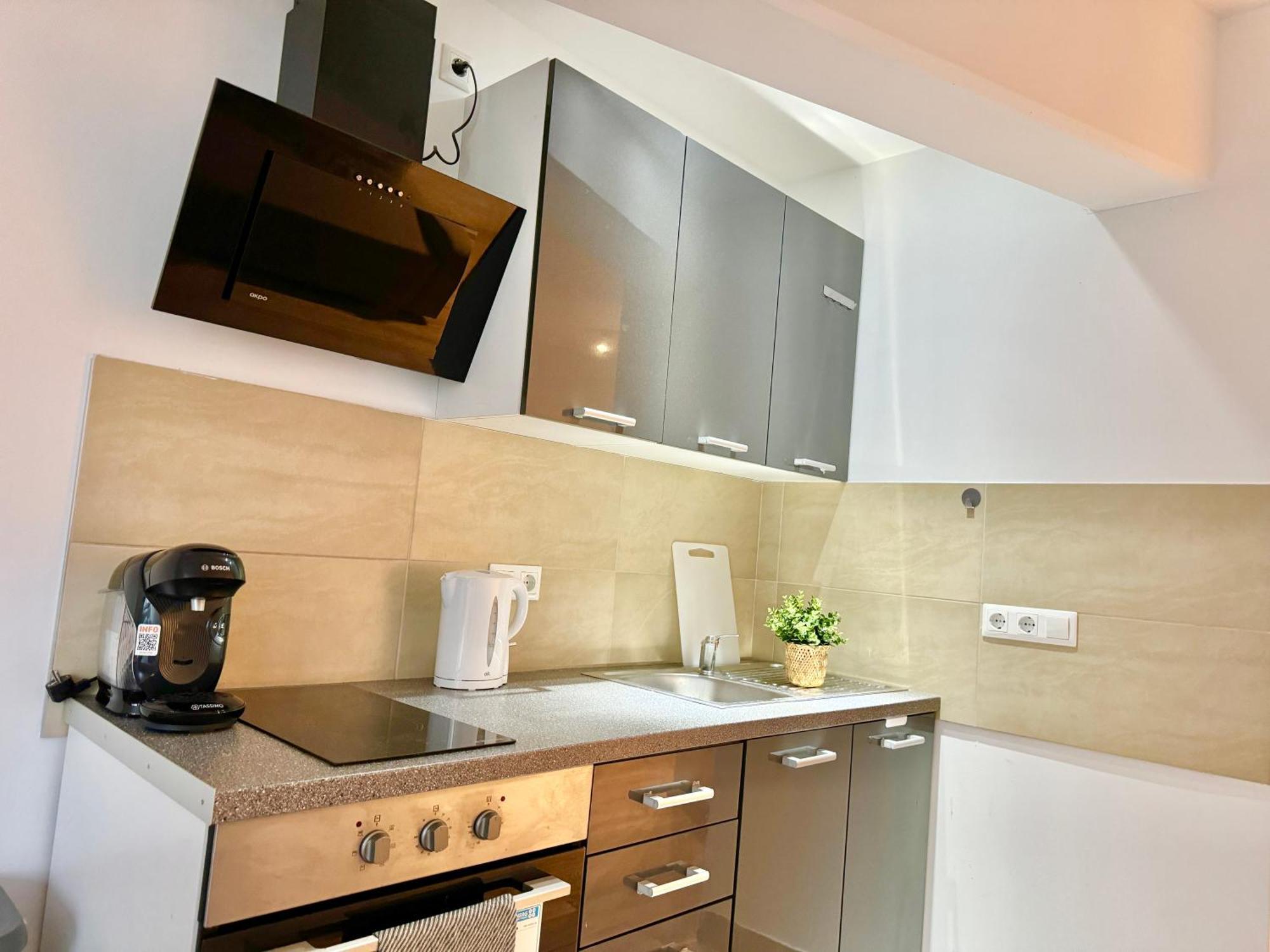 Stylish Schonbrunn Apartments - Free Underground Parking Вена Экстерьер фото