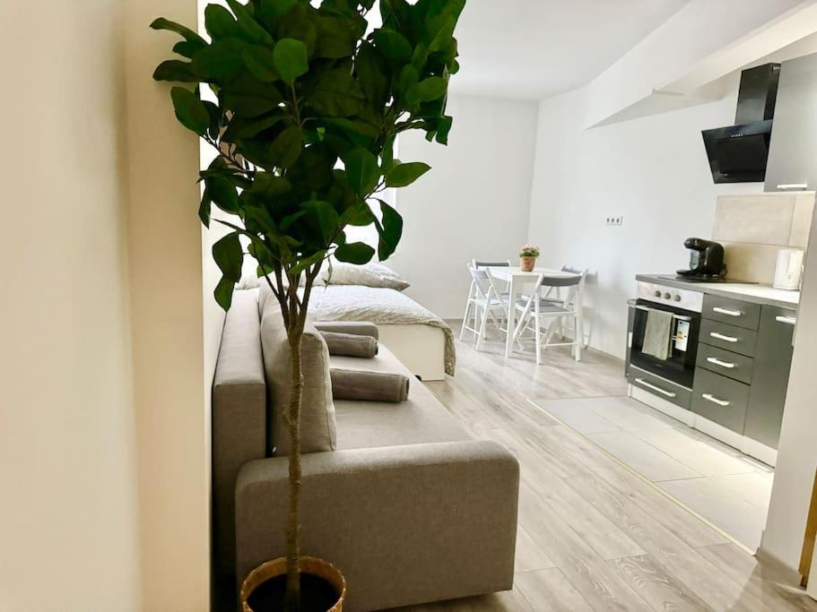 Stylish Schonbrunn Apartments - Free Underground Parking Вена Экстерьер фото